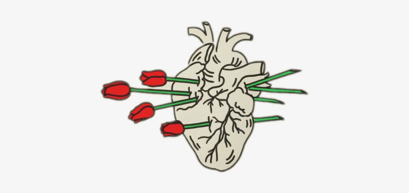 Report Abuse - Dibujos Tumblr Png, transparent png download