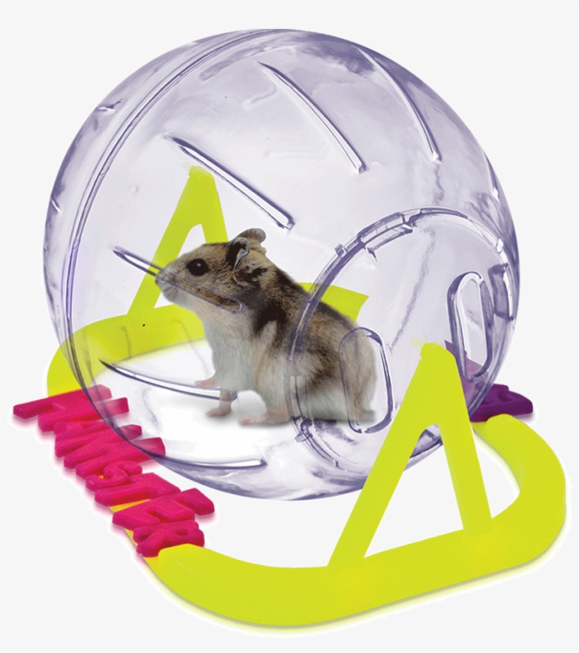Esfera Hamster Ball Small 13cm De Diametro - Hamster, transparent png download