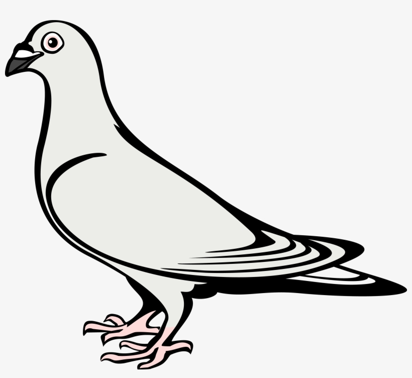 Drawn Dove Coat Arm - Coat Of Arms Dove, transparent png download