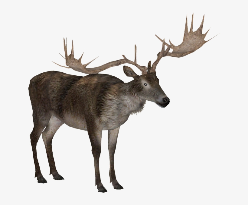 Irish Elk 2 Adult M2 - Zt2 Irish Elk, transparent png download