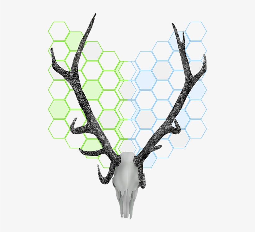 Transparent Library Honeycomb Pattern Kids T - Antler, transparent png download