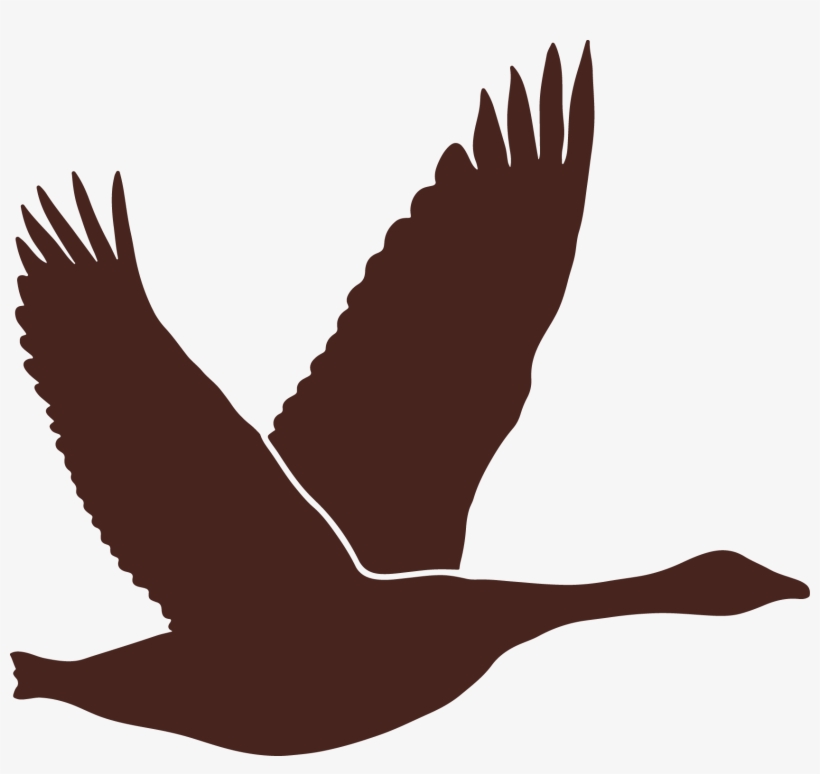 Bear Brown Silhouette Of A Canadian Goose - Canada Goose, transparent png download