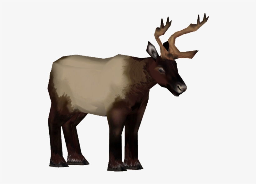 Roosevelt Elk F - Reindeer, transparent png download