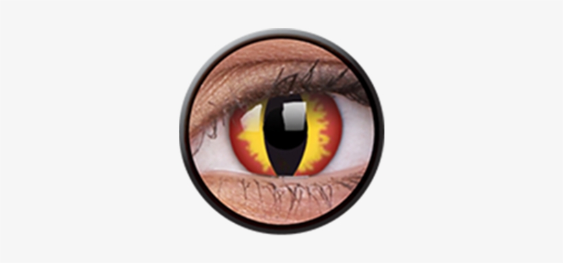 Contact Lenses, transparent png download