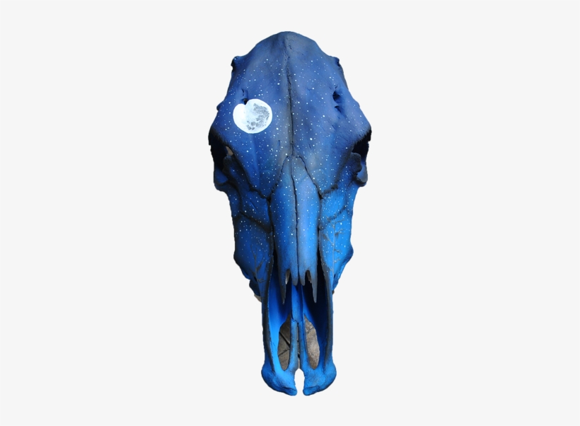 Real Cow Skull Painted By Artist Katherine House - Kata, transparent png download