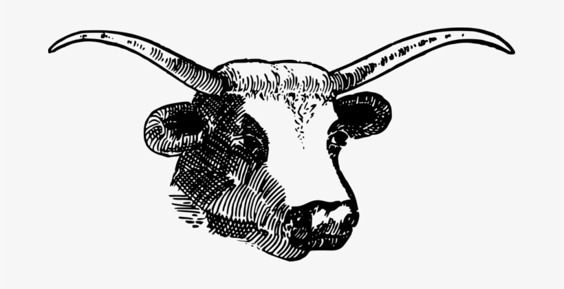Texas Longhorn English Longhorn Angus Cattle Bull - Clipart Horns, transparent png download