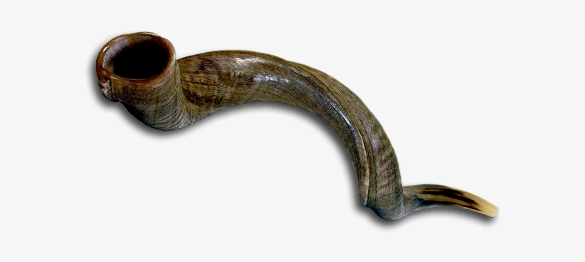 Png Icon Shofar Horn With Oil Graphic Stock - Shofar, transparent png download