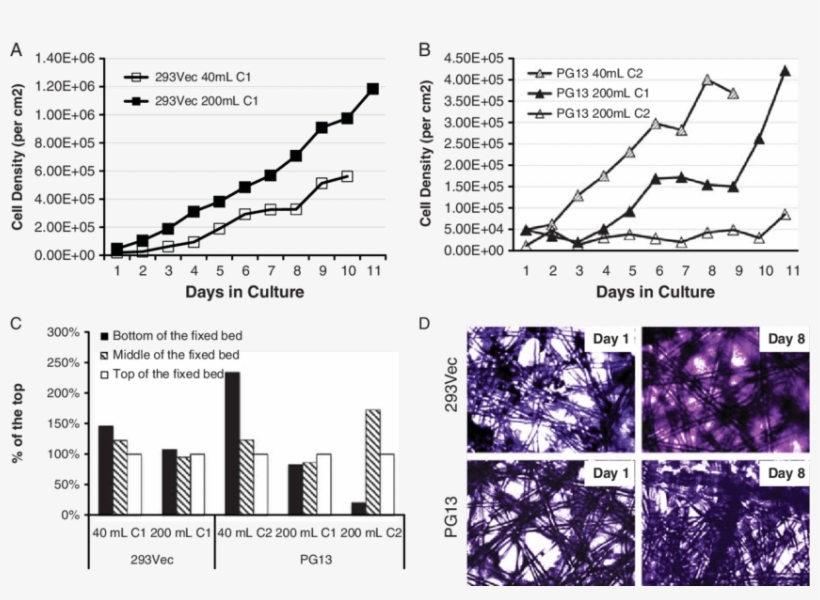Growth And Distribution Of 293vec And Pg13 Packaging - Cell, transparent png download