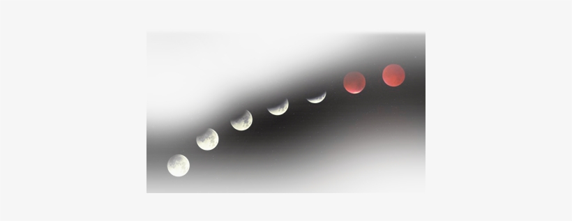 Preview Overlay - Macro Photography, transparent png download