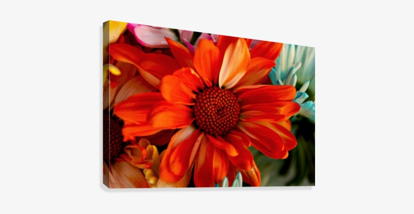 Fps-0040 Canvas Print - Artist, transparent png download