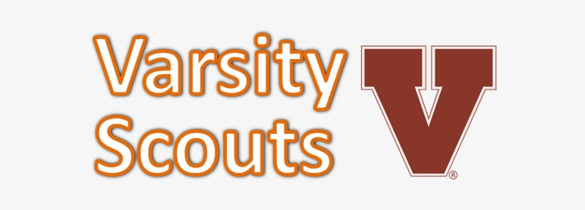 Cub Scout / Boy Scout / - Club Penguin Cheats 2010, transparent png download