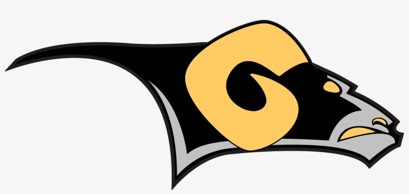 Yorkshire Rams Logo - Birmingham Bulls, transparent png download