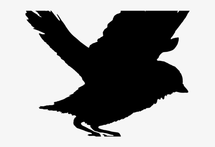 Bird Silhouette - Bird, transparent png download