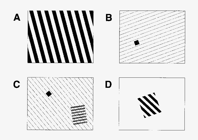 A Spatial Gratings Of Black And White Stripes - Advertising, transparent png download