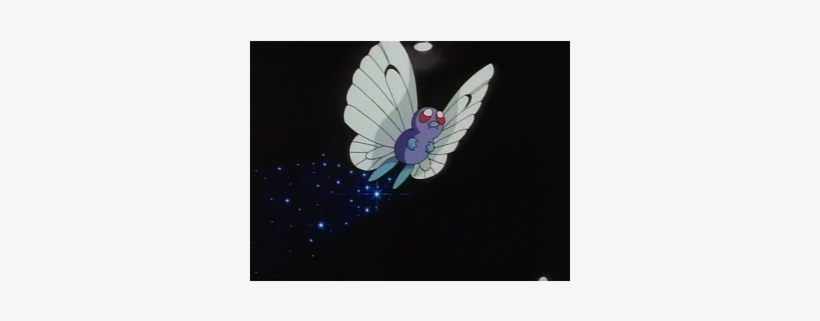 51, 9 July 2010 - Cabbage Butterfly, transparent png download