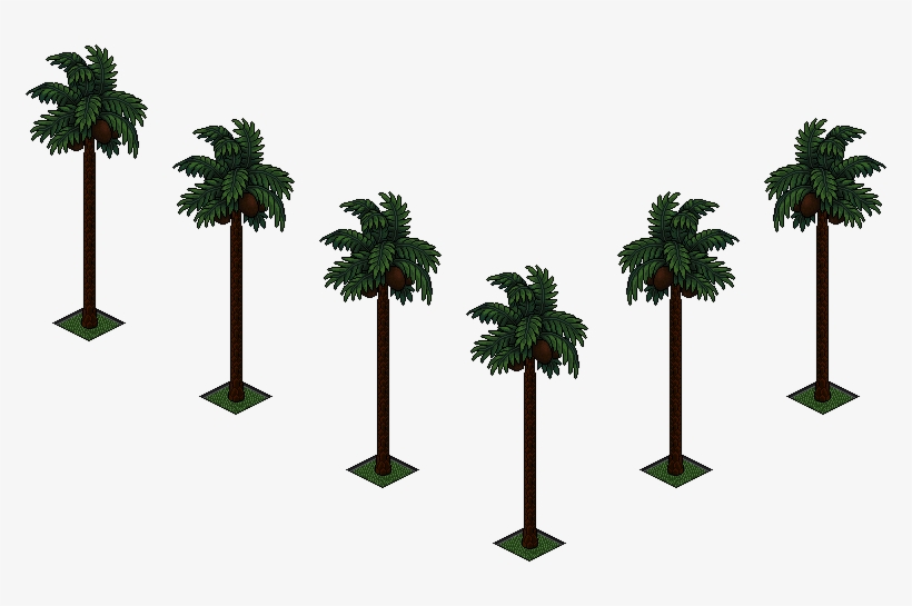 Palmeras - Attalea Speciosa, transparent png download