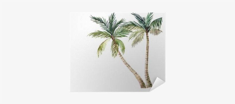 Palm Tree Isolated On White Background - Watercolor Palm Tree, transparent png download