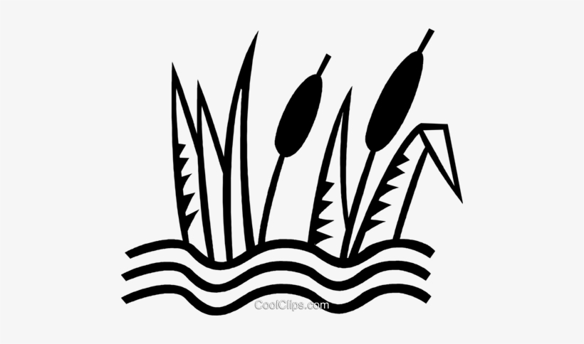 Cat Tails Royalty Free Vector Clip Art Illustration - Clip Art, transparent png download
