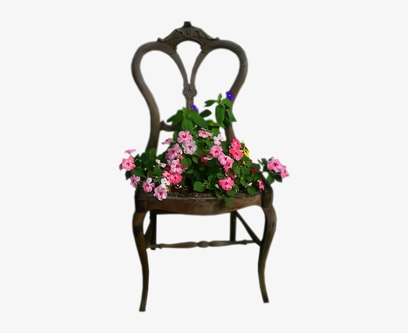 Cattails - Transparent Cattail In Water Png, transparent png download