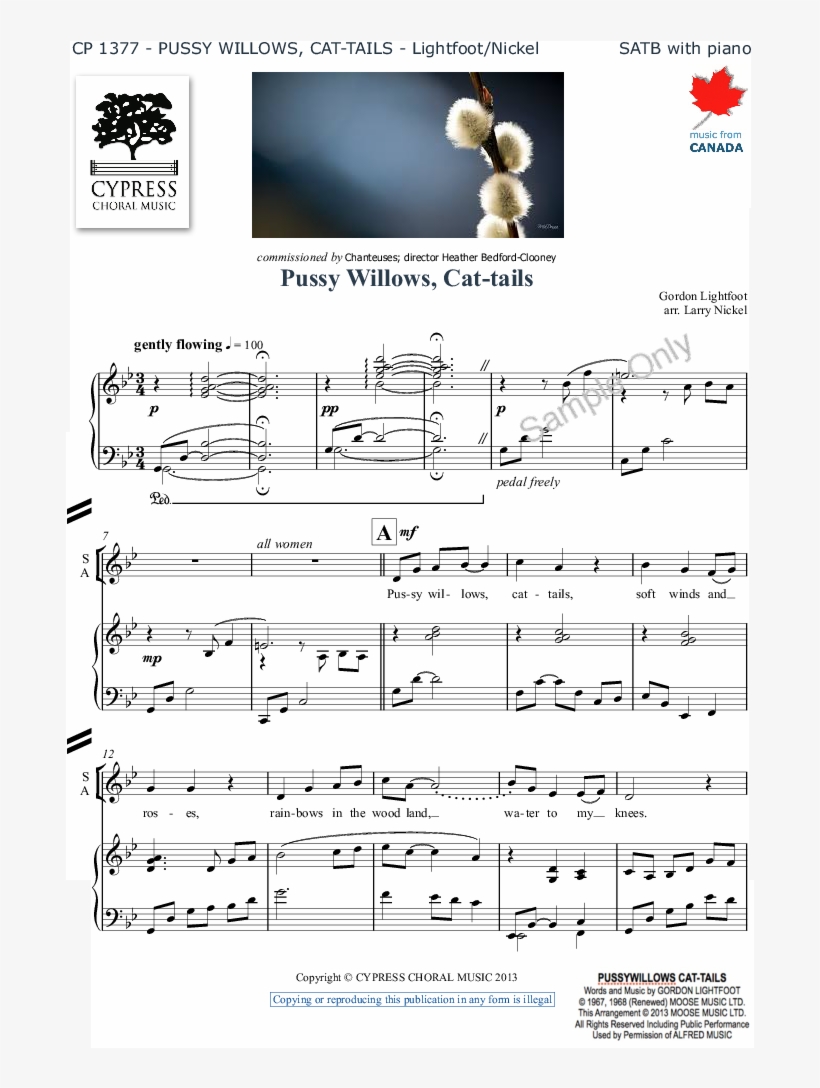 Pussy Willows Cat Tails Thumbnail Pussy Willows Cat - Pussy Willows And Cat-tails (satb) - Sheet Music, transparent png download