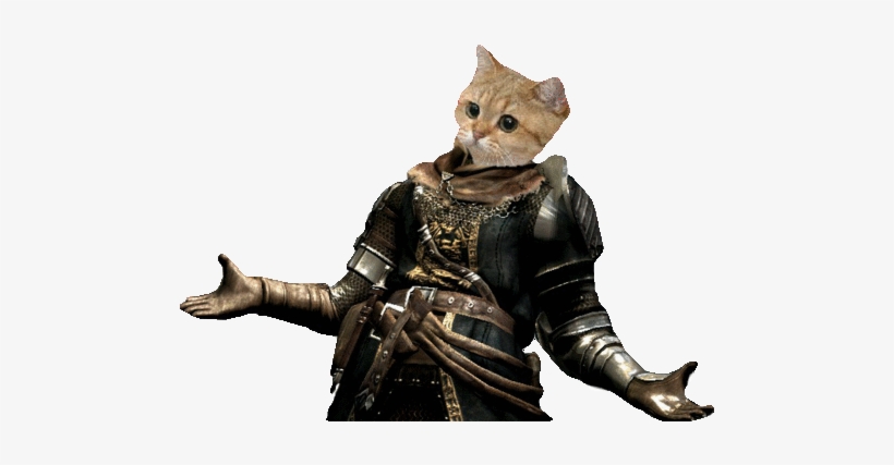 Honestly I Grew Up With A Giant Teddy Bear, So Going - D And D Cat Race, transparent png download