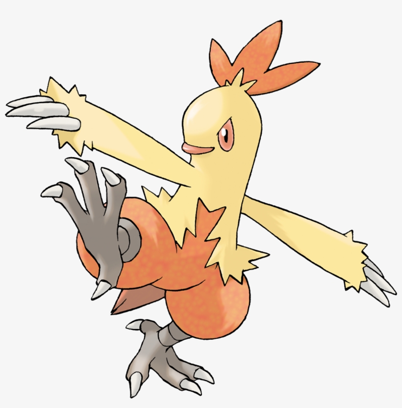 Pokemon Combusken, transparent png download