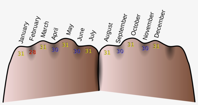 Open - Many Days In Each Month, transparent png download