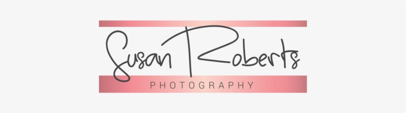 Photography Logo - Logo, transparent png download