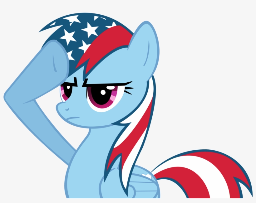 American Flag, Artist - Rainbow Dash Salute, transparent png download