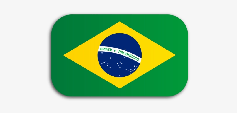 Através Dessa Página Será Possível Ter Acesso A Informações - Brazilian Flag, transparent png download