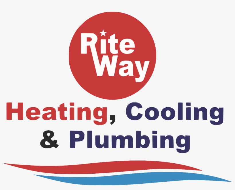 Head Shot, transparent png download