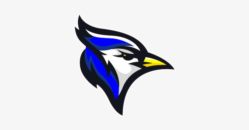 Norton Community High School Mascot, transparent png download