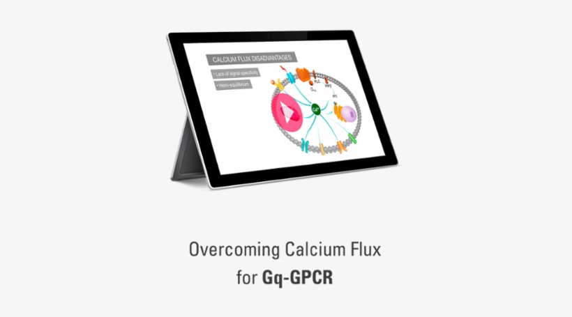 Watch - Ministry Of Education And Research, transparent png download