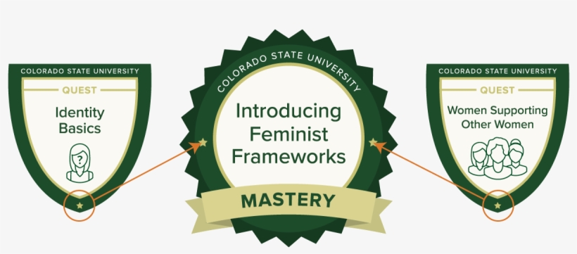 Feminist Frameworks Online Training From Csu - Celebrating 50 Years Logo, transparent png download