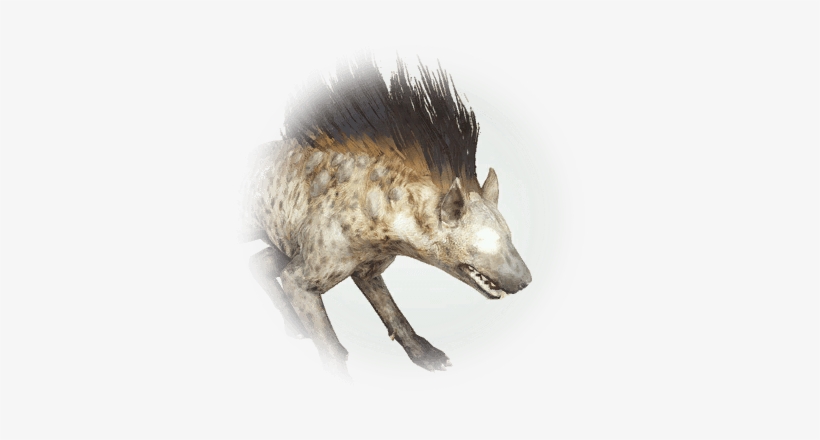 Spotted Hyena - Black Desert Online, transparent png download