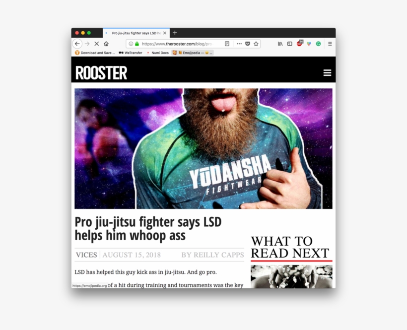 Https - //www - Therooster - Com/blog/pro Jiu - Peace Park Inn Chennai, transparent png download