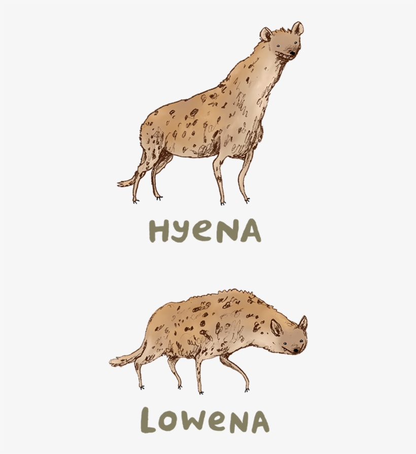 Hyena Lowena, transparent png download