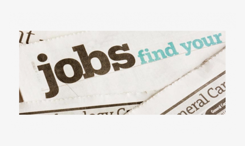 Please Use Google In Their Job Search - Getting A Job, transparent png download