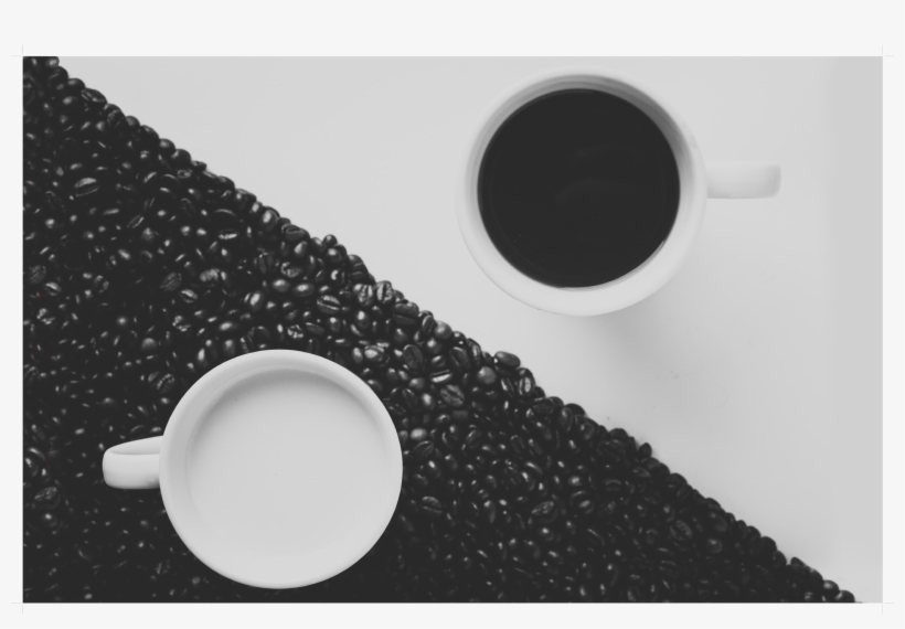 Kitchen Palette - Mosquito - Pablo Moriego - Download, transparent png download