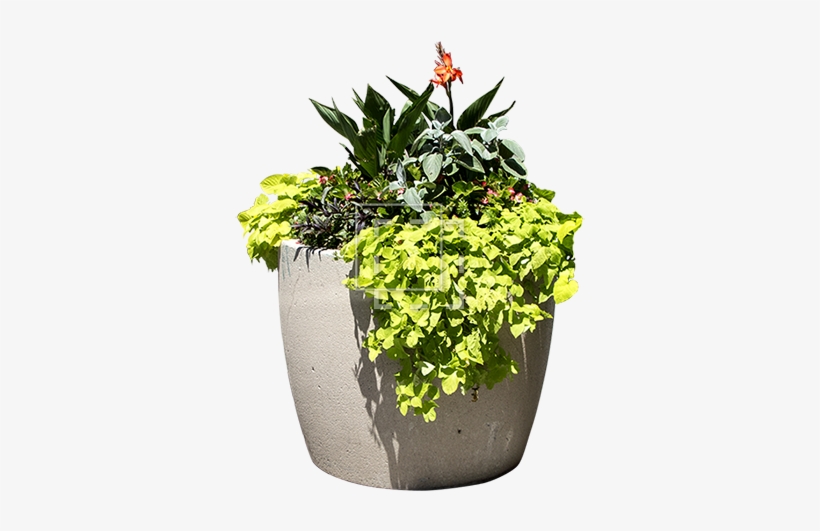 Cutout People - Flower, transparent png download