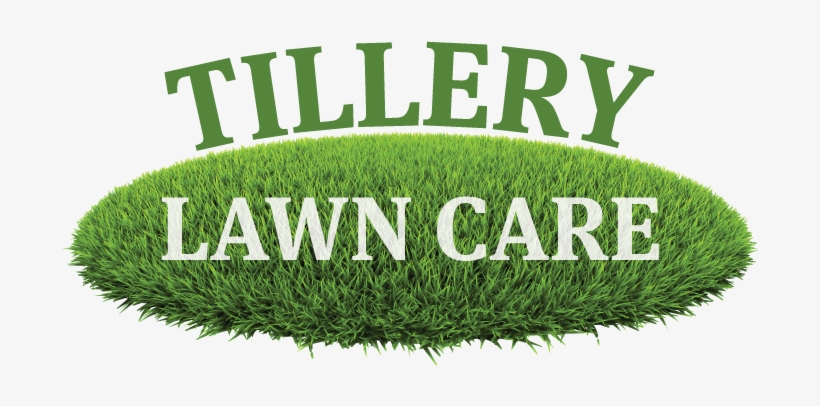 Artificial Turf, transparent png download