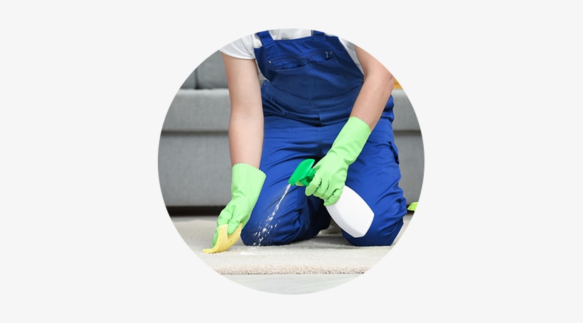 Cleaning Services That Shine - Living Room, transparent png download