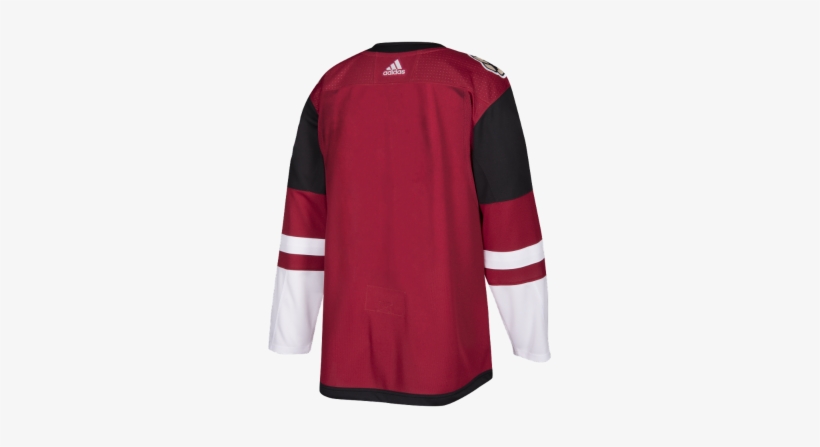1 / - Arizona Coyotes, transparent png download