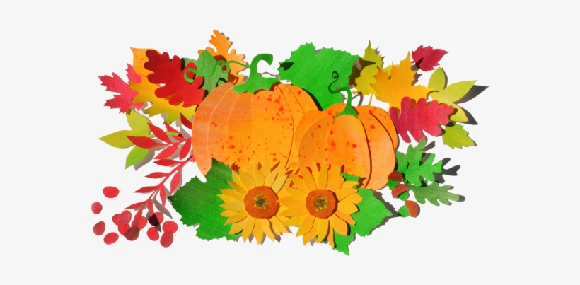 Fall Festival At Nuerenberger Farm St - Easley, transparent png download