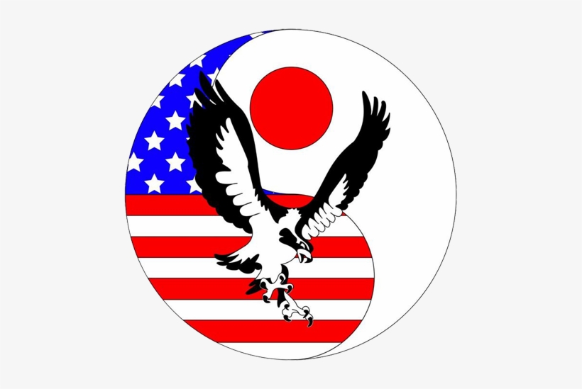 Hawk, transparent png download