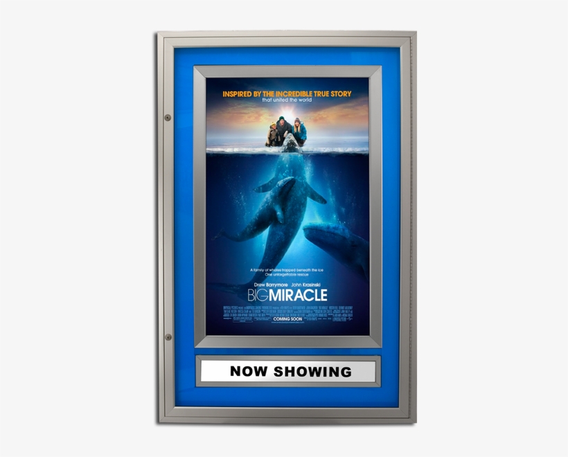 Halolite Series Rear Lit Movie Poster Case - Big Miracle, transparent png download