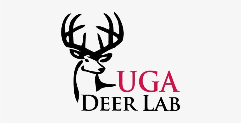 Uga Deer Lab Logo - Gates Scholarship Logo, transparent png download