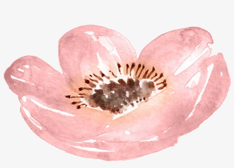 Watercolor Pink Petals Free Illustration - Rosa Acuarela Png, transparent png download
