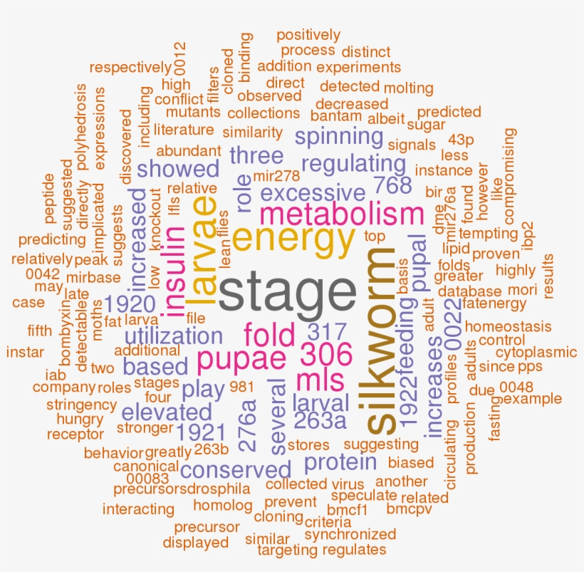 Stem Loop Sequence Bmo Mir - Open Stage, transparent png download