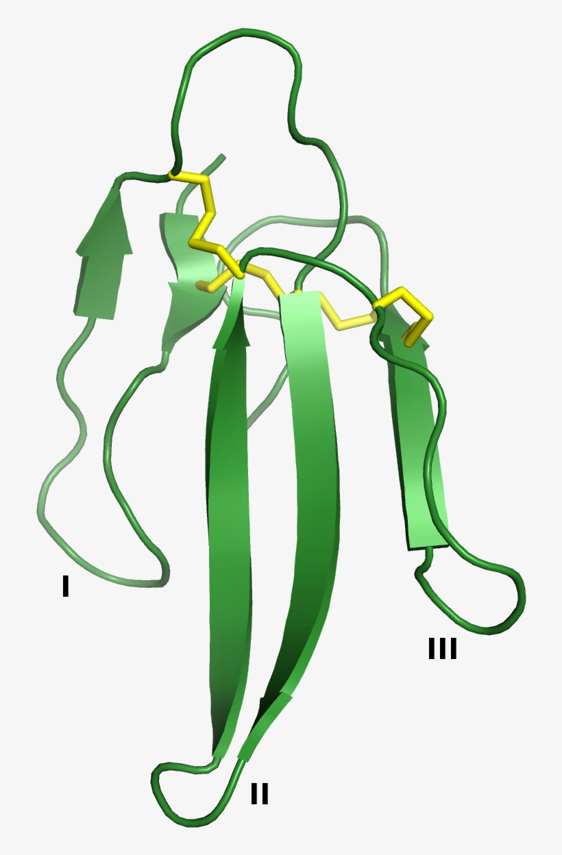 Three Finger Toxin Structure, transparent png download